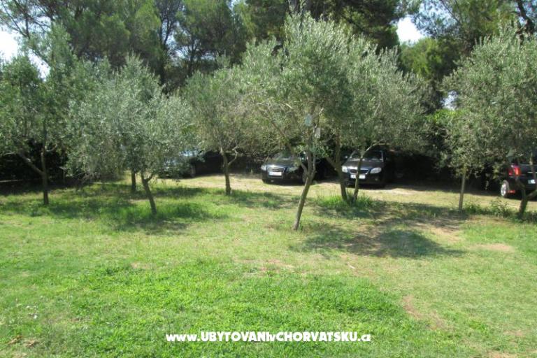 Apartmanok Pavlica – fotó 8
