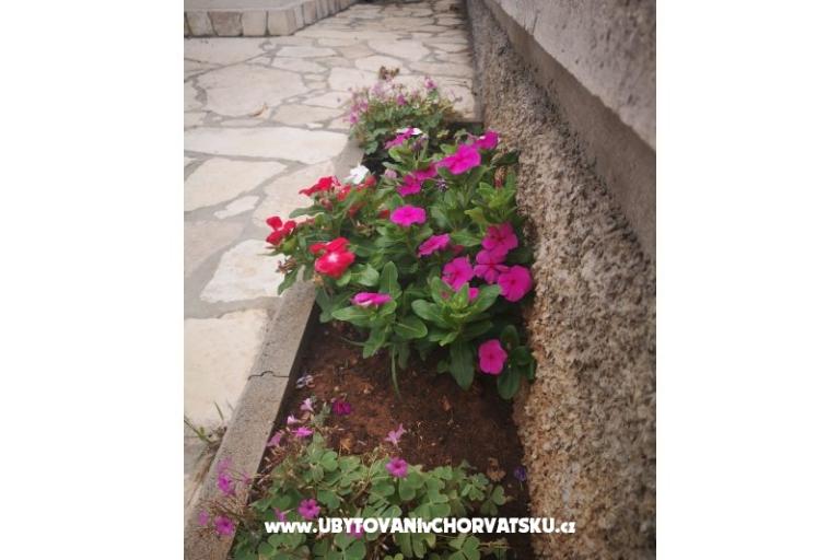 Apartmanok Vlašić – fotó 10