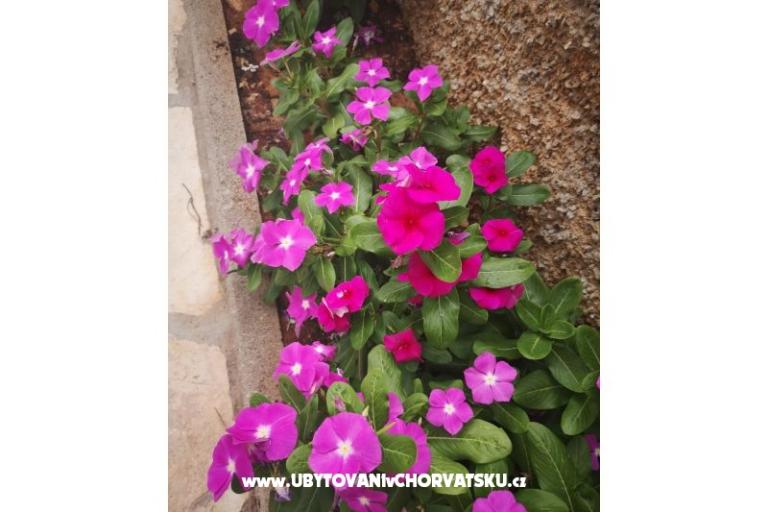 Apartmanok Vlašić – fotó 9