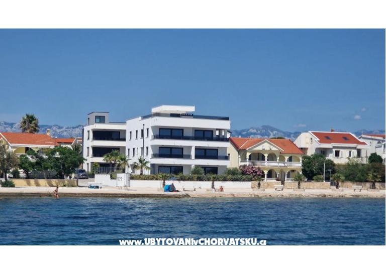 Dinary – fotó 10