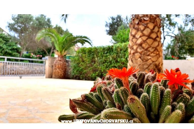 Happy Pineapple Apartmanok Vir – fotó 6