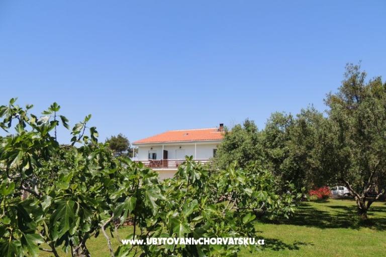 Apartmanok Liveric – fotó 18