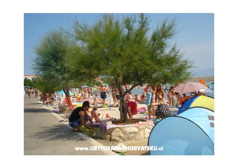 Apartmanok-MGM Vir – fotó 15