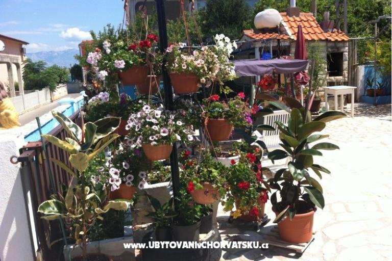 Petra apartmani – fotó 11