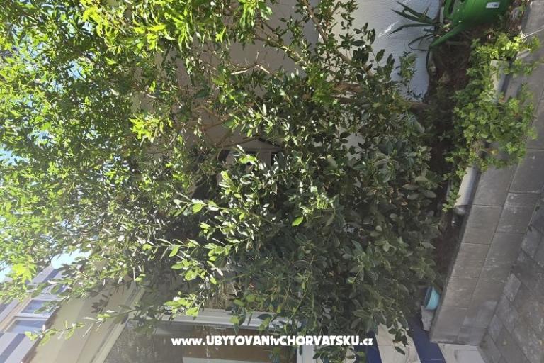 Sunset Paradise Apartmanok Vir – fotó 57