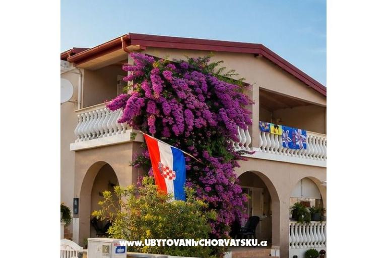 ZELIC FAMILY VIR – fotó 11
