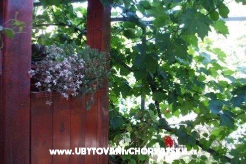 Apartmanok Tina – fotó 9