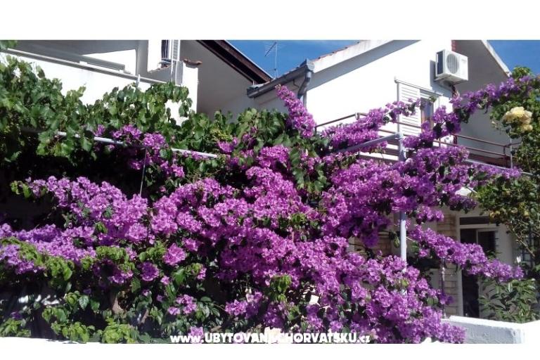  Apartman Čičak – fotó 9