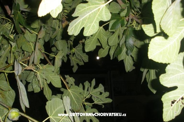 Apartmanok  Smokva   – fotó 4