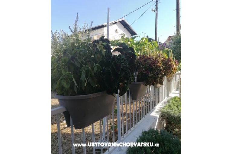 Apartmanok NIKA – fotó 8
