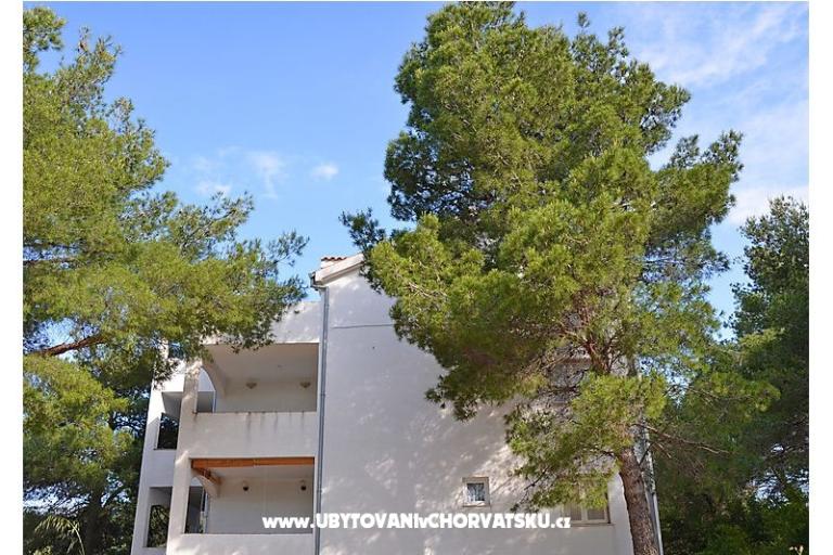 Apartmanok Bruno – fotó 5