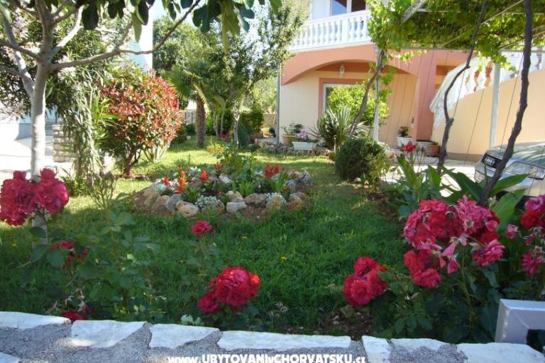 Apartmanok Ćosić  – fotó 3