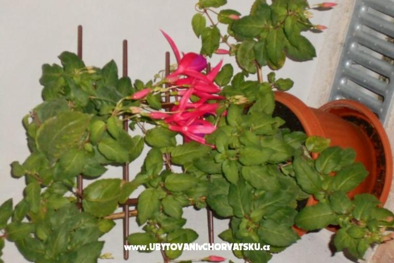 Apartmanok Gabriella – fotó 12
