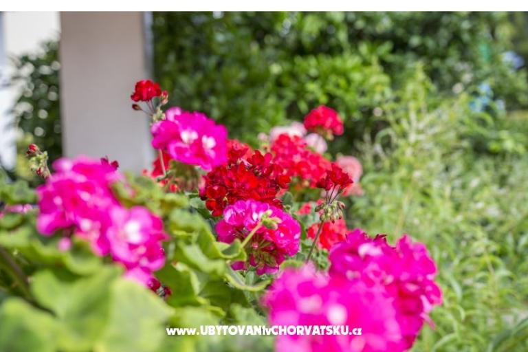 Apartmanok Ines – fotó 3