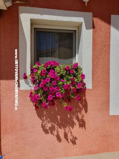 Apartmanok Nana – fotó 17