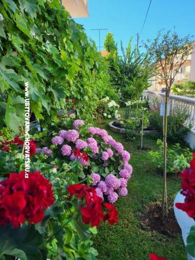 Apartmanok Rino – fotó 35