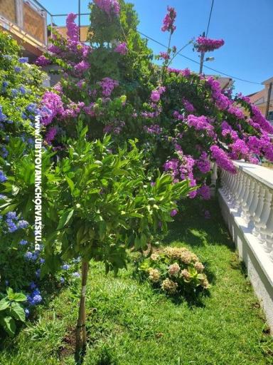 Apartmanok Rino – fotó 36