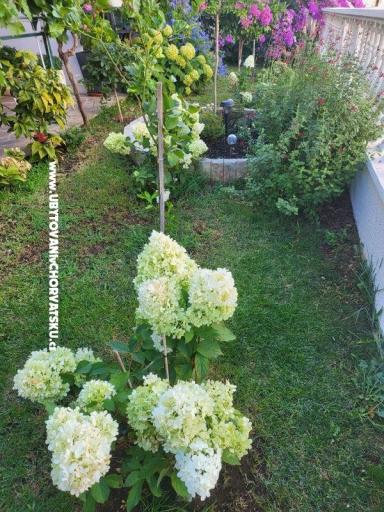 Apartmanok Rino – fotó 37