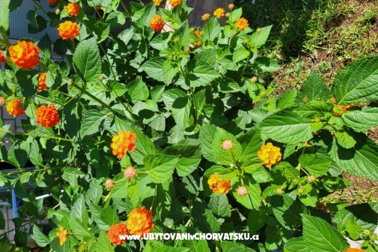 Apartmanok Rino – fotó 38