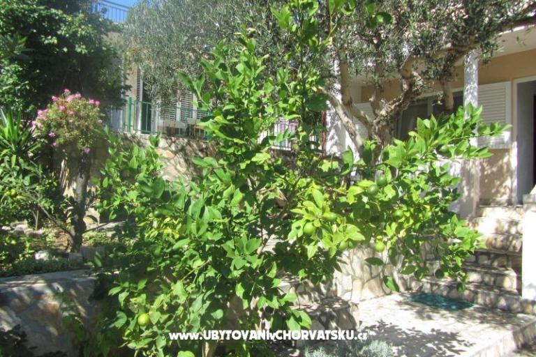 Apartmanok Sonja – fotó 12