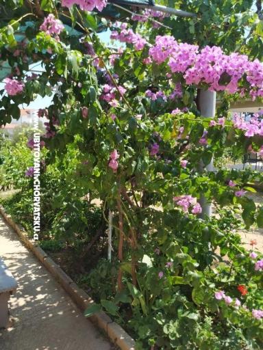 Apartmanok Vinka – fotó 20