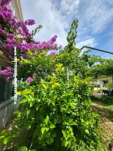 Apartmanok Vinka – fotó 23