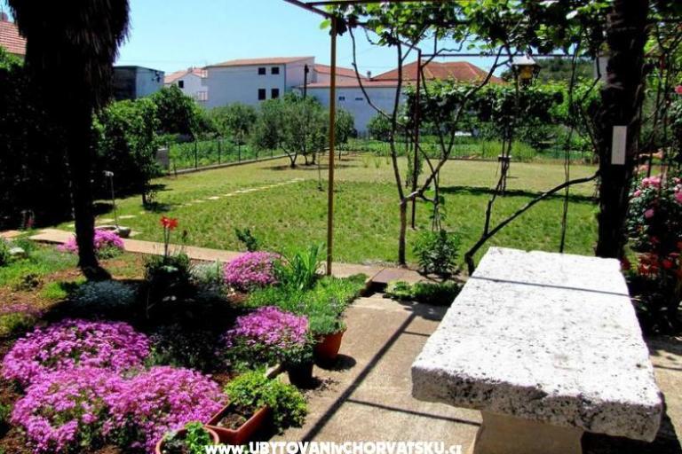 Apartmanok Zvonimir – fotó 2