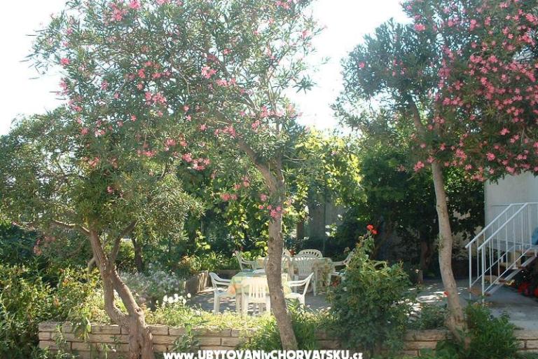 Apartmanok 21 Vodice – fotó 2