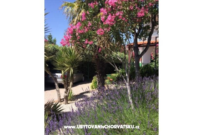 Apartmanok Milka – fotó 21