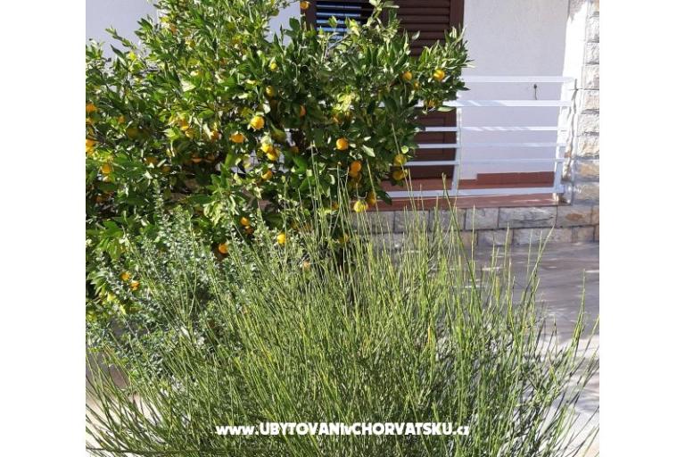 Apartmanok Vitali – fotó 10