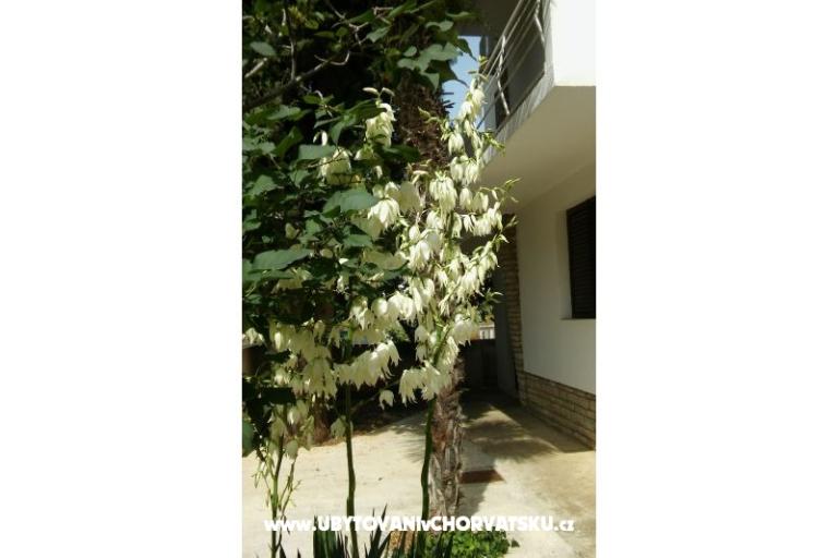 Apartmanok Vitali – fotó 6