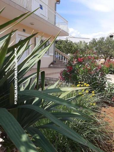 Apartmanok Duzelovi dvori  – fotó 12