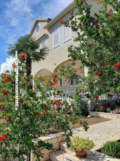 Apartmanok Duzelovi dvori  – fotó 16
