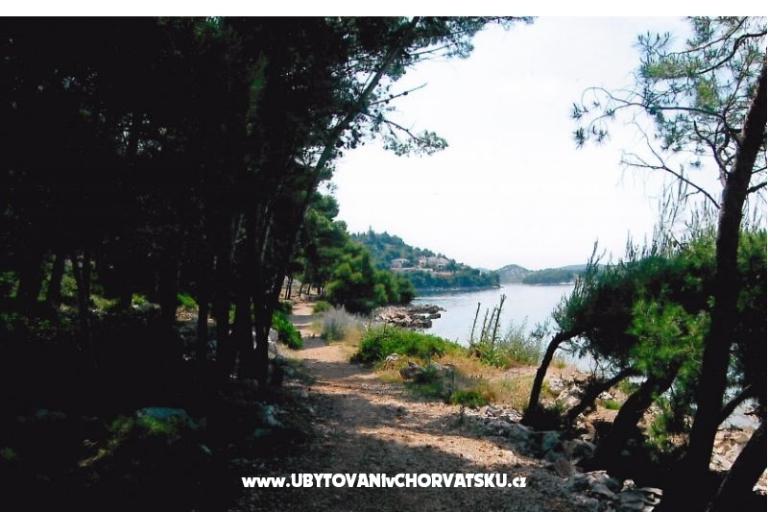 Apartmanok Kata – fotó 11