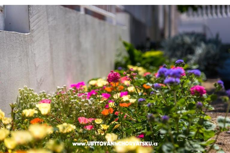 Apartmanok Marko – fotó 2