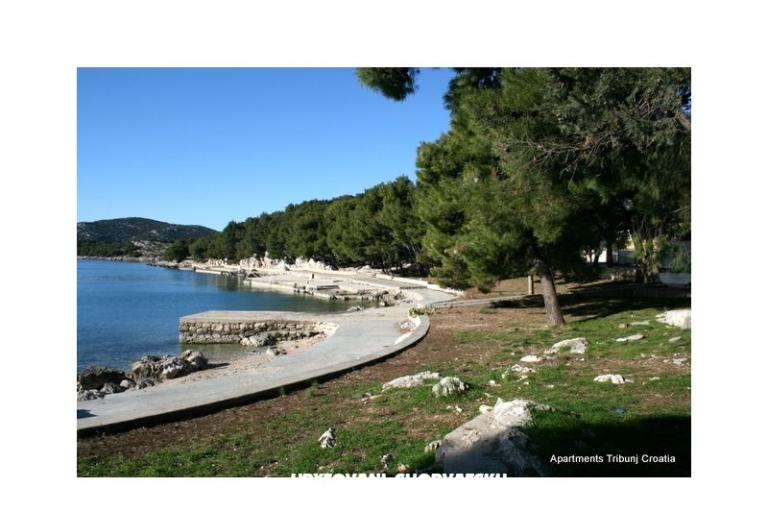 Antonela  – fotó 15
