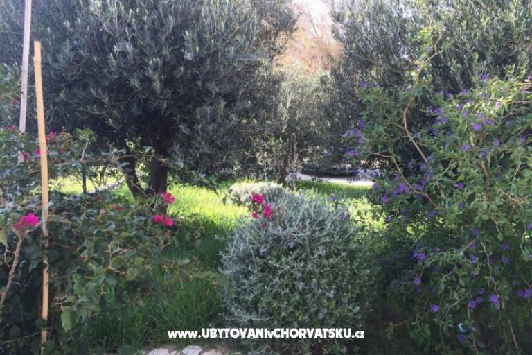 Apartmanok Villa Tribunj – fotó 3