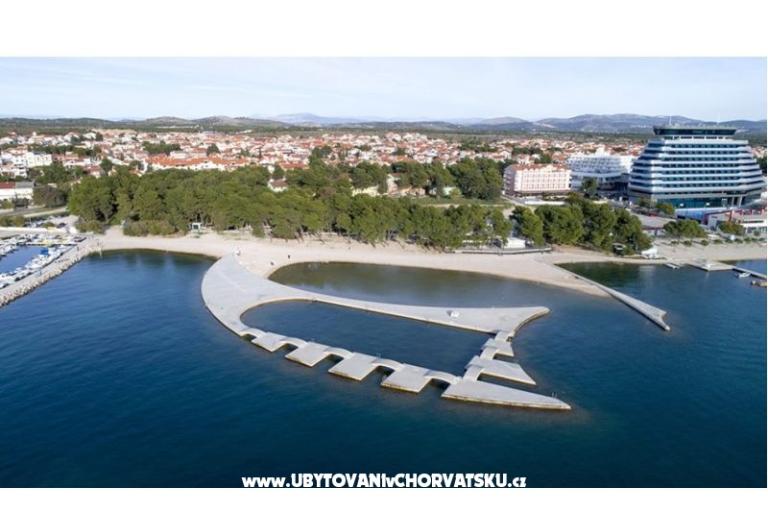 DamTin – fotó 15