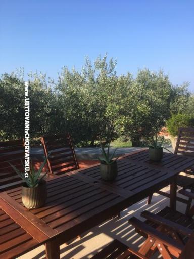 Galeb – fotó 14