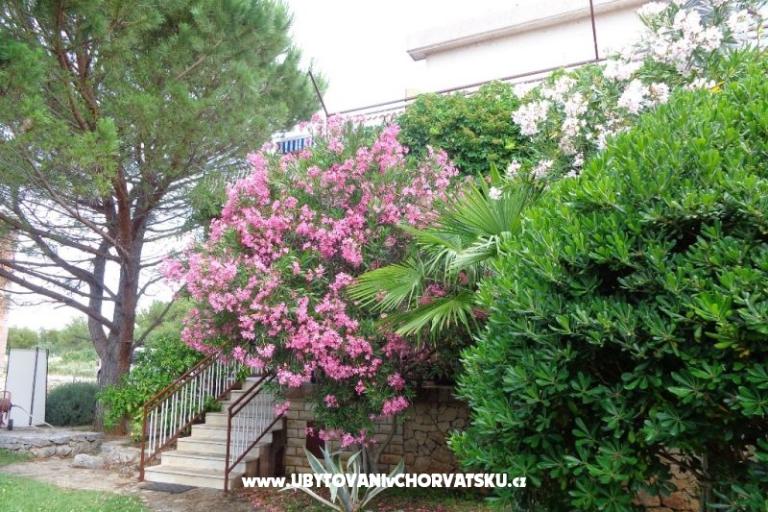Apartmanok  IVAN   – fotó 17