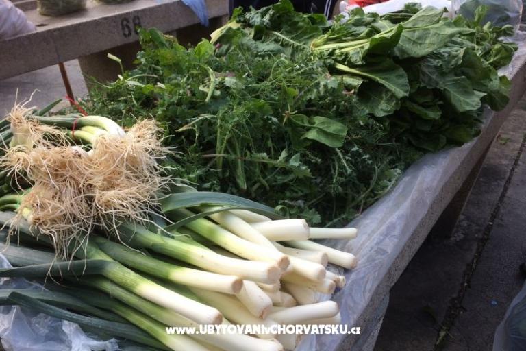 Kiwi Ház – fotó 7
