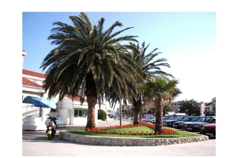 Apartmanok  Vesna  – fotó 14