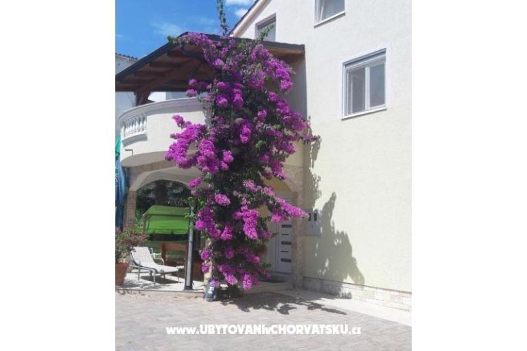 Apartmanok  Vesna  – fotó 2
