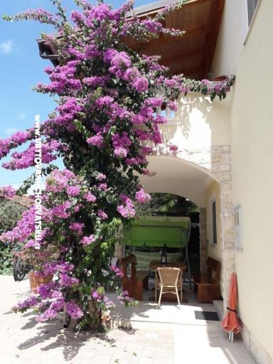 Apartmanok  Vesna  – fotó 20
