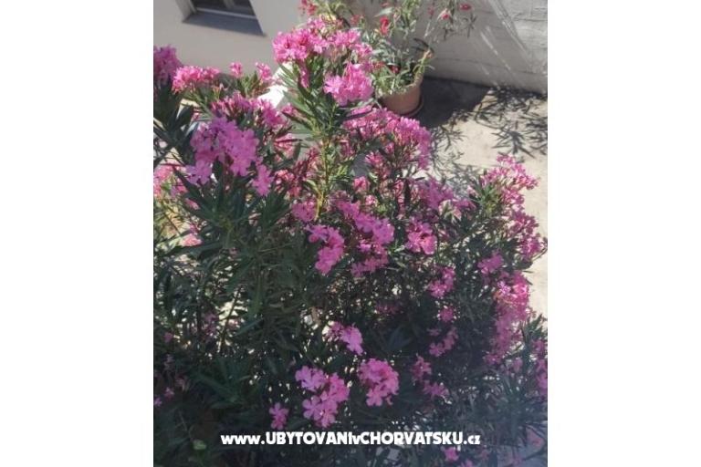 Vila Sara – fotó 13