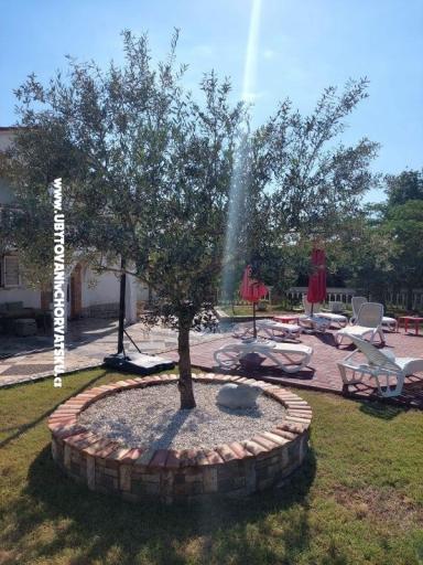 Apartmanok Chipo – fotó 3