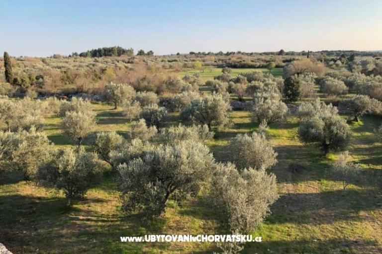 Casadigioia Apartmanok – fotó 6