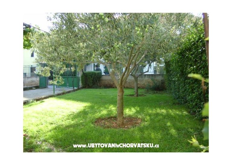 Apartman  Dalmacija – fotó 17