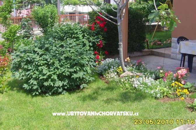 Apartman Amico – fotó 6