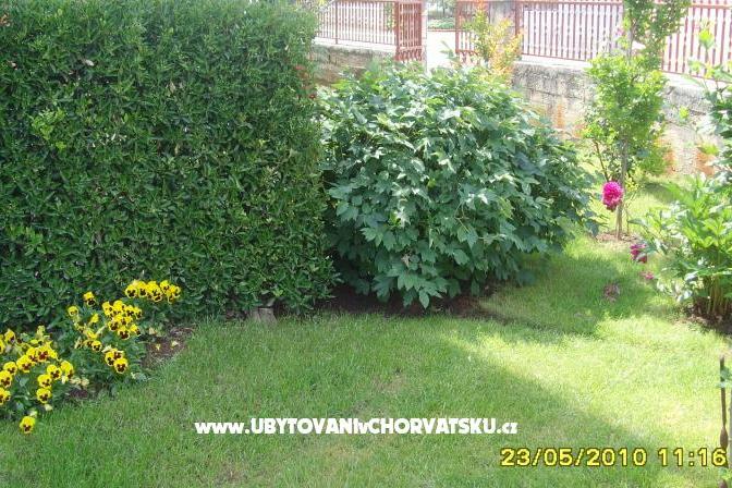Apartman Amico – fotó 8